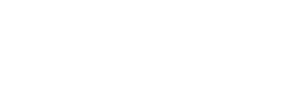 The Authentic Connection Coach